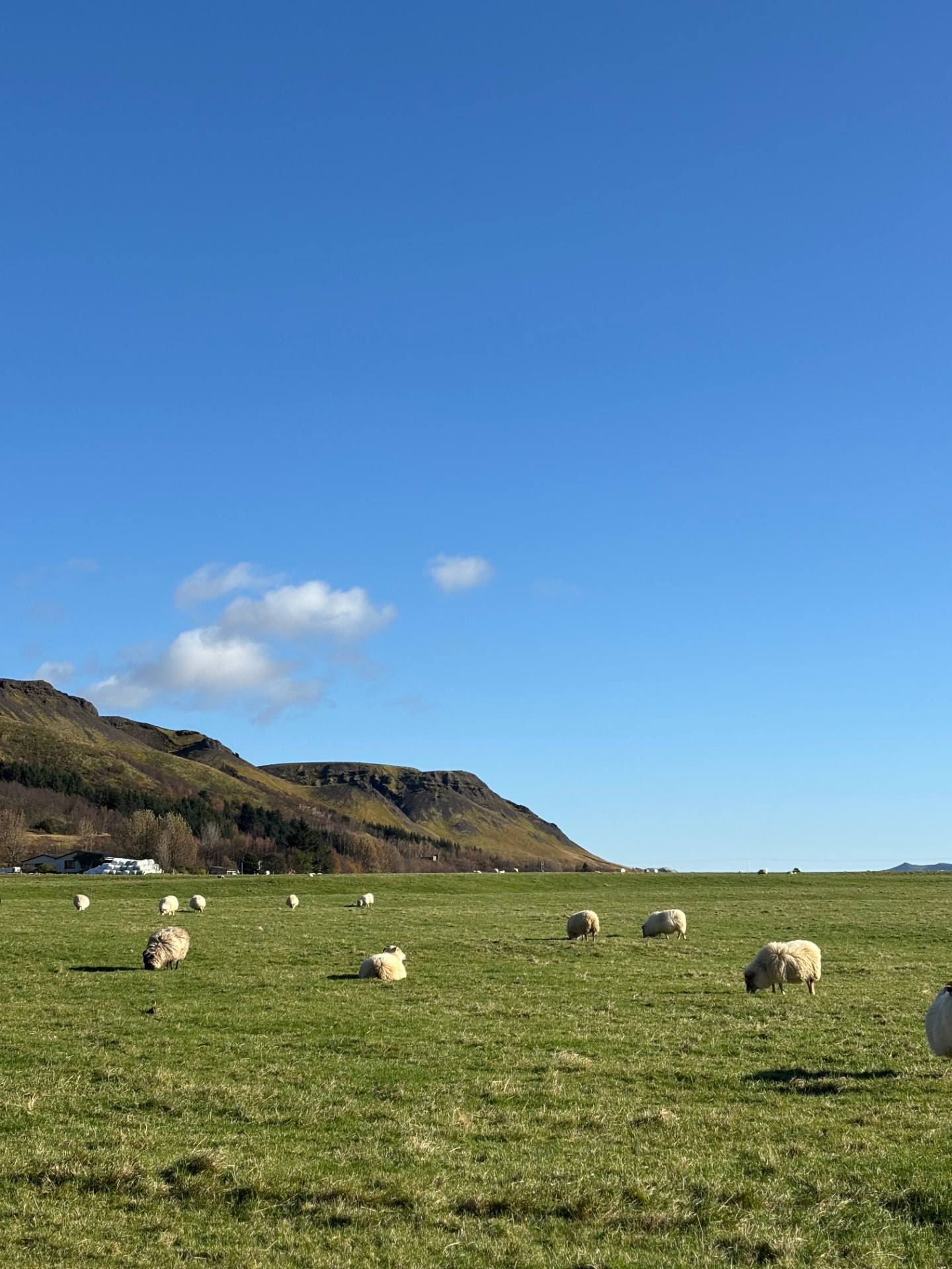 Iceland In the Fall