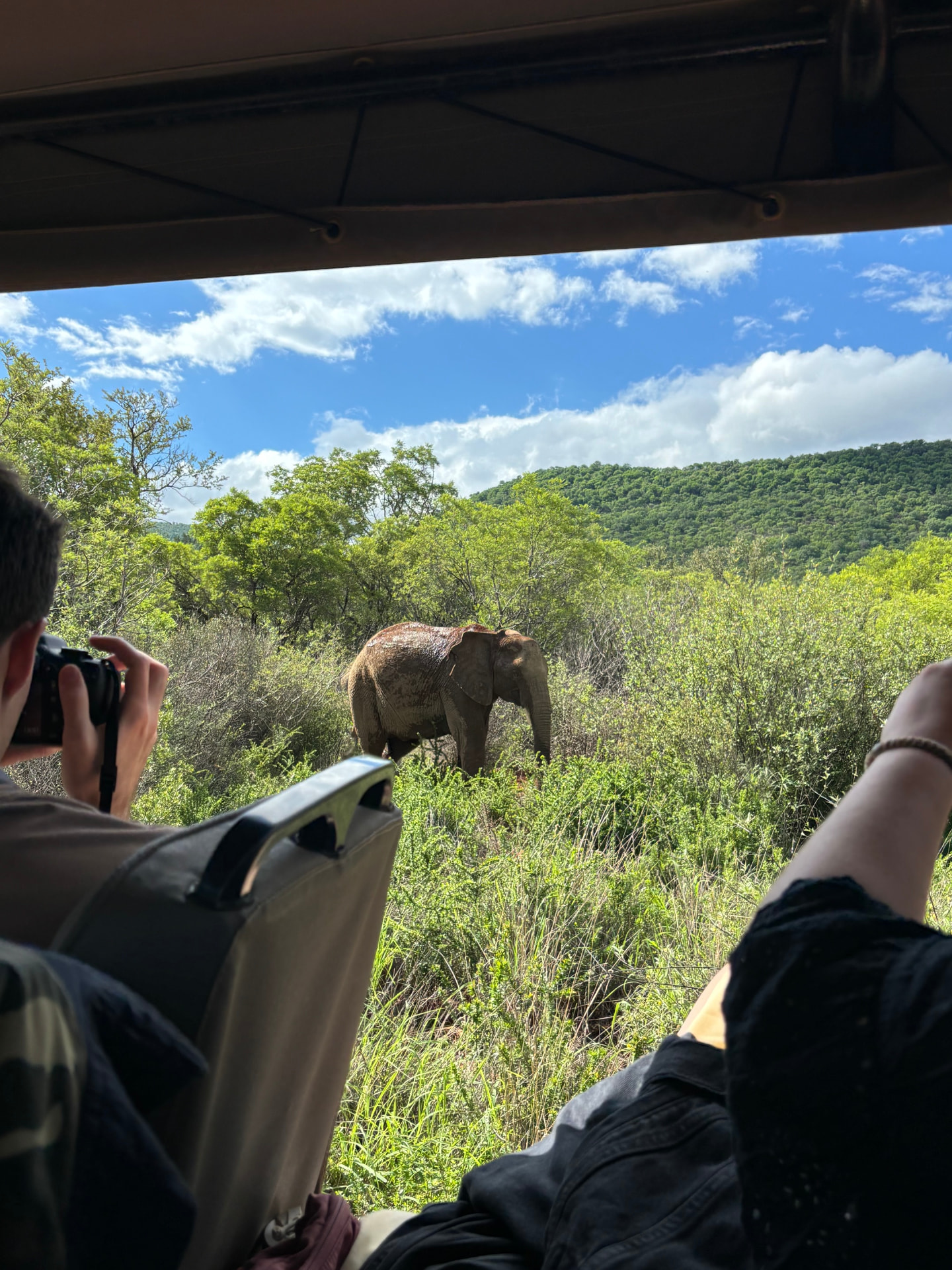 Scenes from the Bush